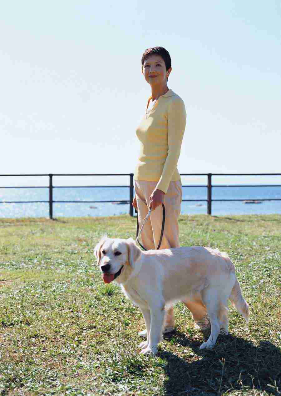 Seniors on Holiday - Datacraft Sozaijiten  ></a>
<script language=JavaScript> 
  var txt = 