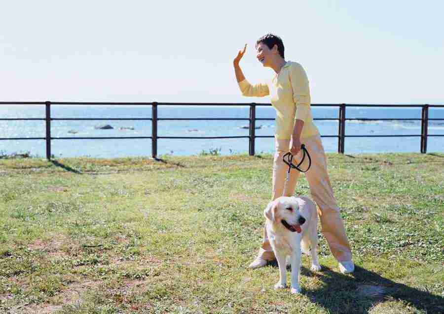 Seniors on Holiday - Datacraft Sozaijiten  ></a>
<script language=JavaScript> 
  var txt = 