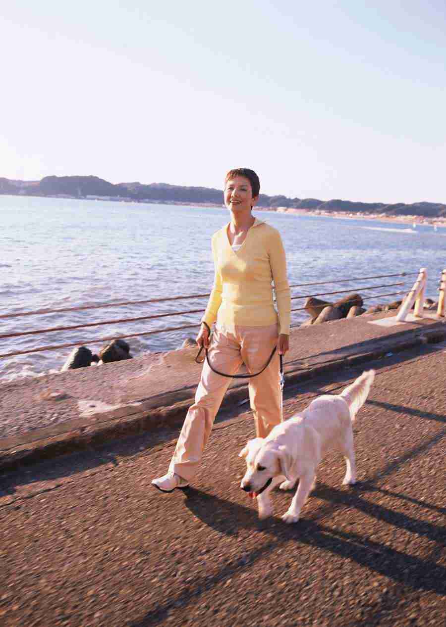 Seniors on Holiday - Datacraft Sozaijiten  ></a>
<script language=JavaScript> 
  var txt = 