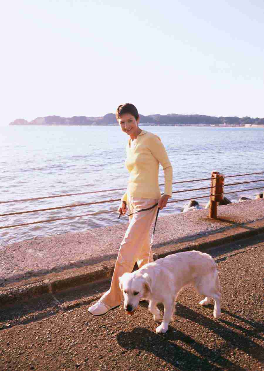 Seniors on Holiday - Datacraft Sozaijiten  ></a>
<script language=JavaScript> 
  var txt = 