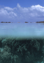 Datacraft Sozaijiten : South Pacific Islands 