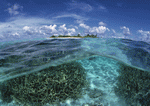 Datacraft Sozaijiten : South Pacific Islands 