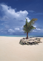 Datacraft Sozaijiten : South Pacific Islands 