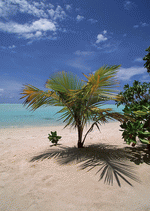 Datacraft Sozaijiten : South Pacific Islands 