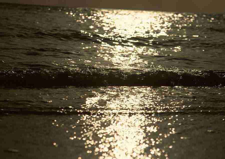 South Pacific Islands - Datacraft Sozaijiten  ></a>
<script language=JavaScript> 
  var txt = 