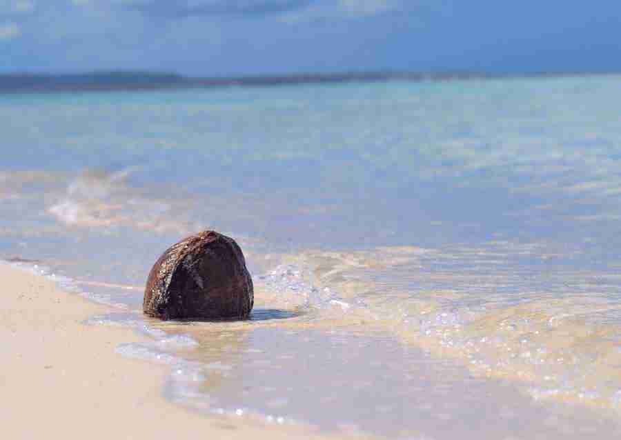 South Pacific Islands - Datacraft Sozaijiten  ></a>
<script language=JavaScript> 
  var txt = 