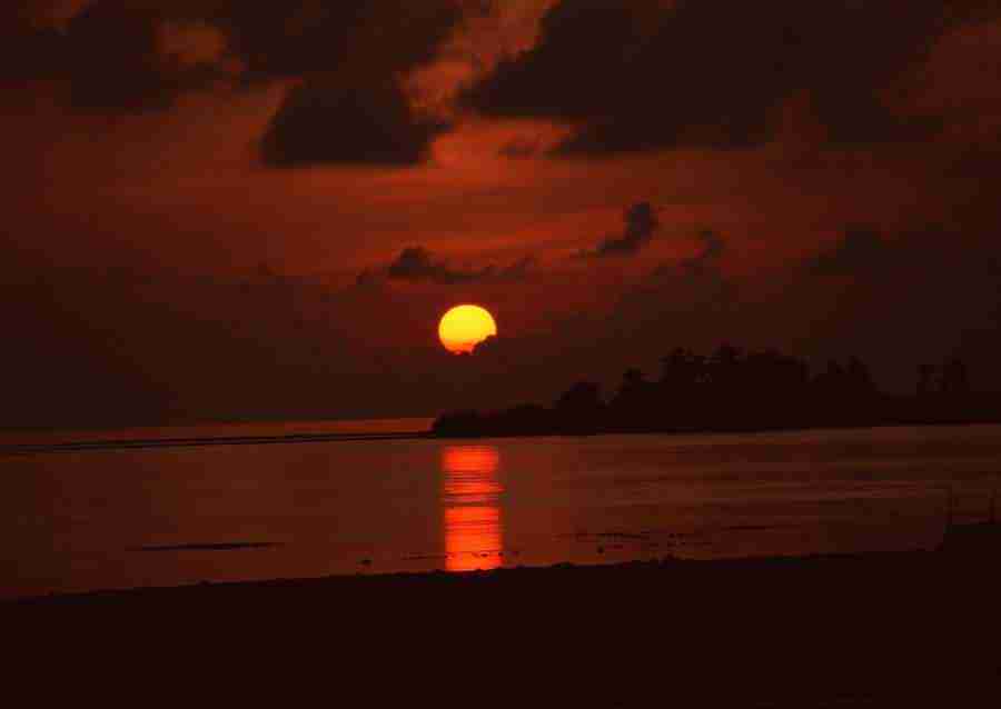 South Pacific Islands - Datacraft Sozaijiten  ></a>
<script language=JavaScript> 
  var txt = 