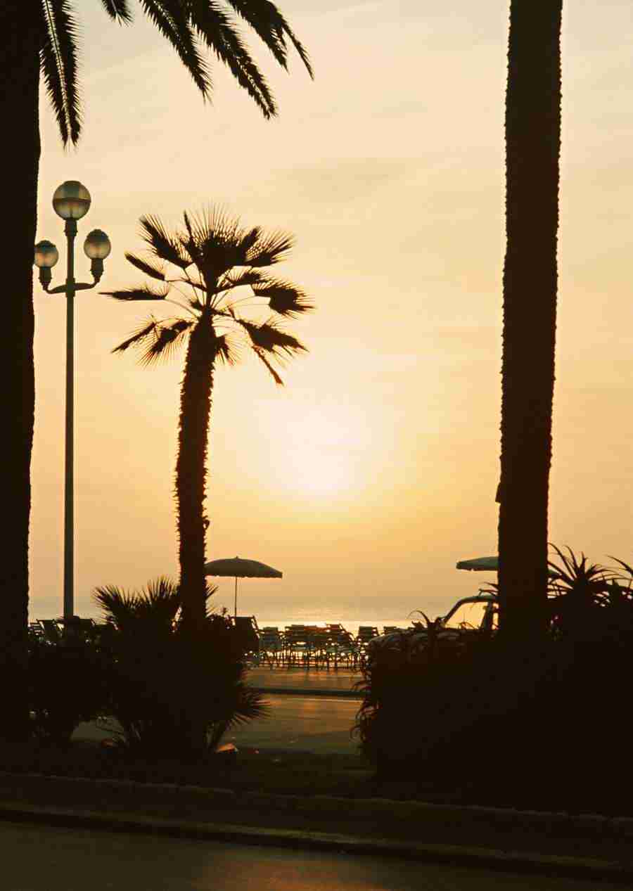 South Pacific Islands - Datacraft Sozaijiten  ></a>
<script language=JavaScript> 
  var txt = 