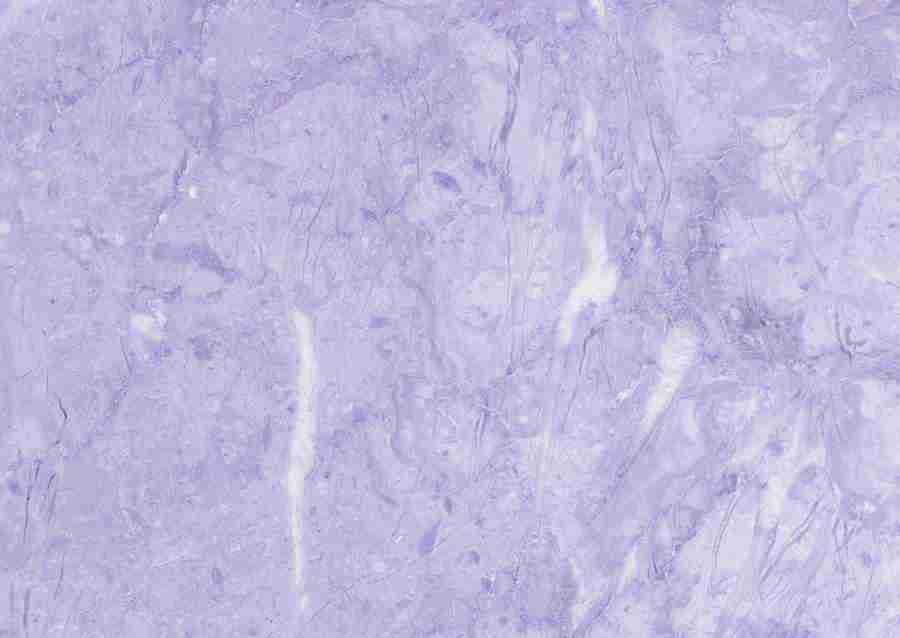 Stones - Datacraft Sozaijiten  ></a>
<script language=JavaScript> 
  var txt = 