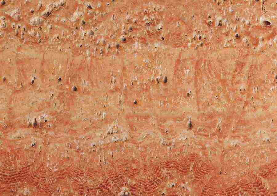 Stones - Datacraft Sozaijiten  ></a>
<script language=JavaScript> 
  var txt = 