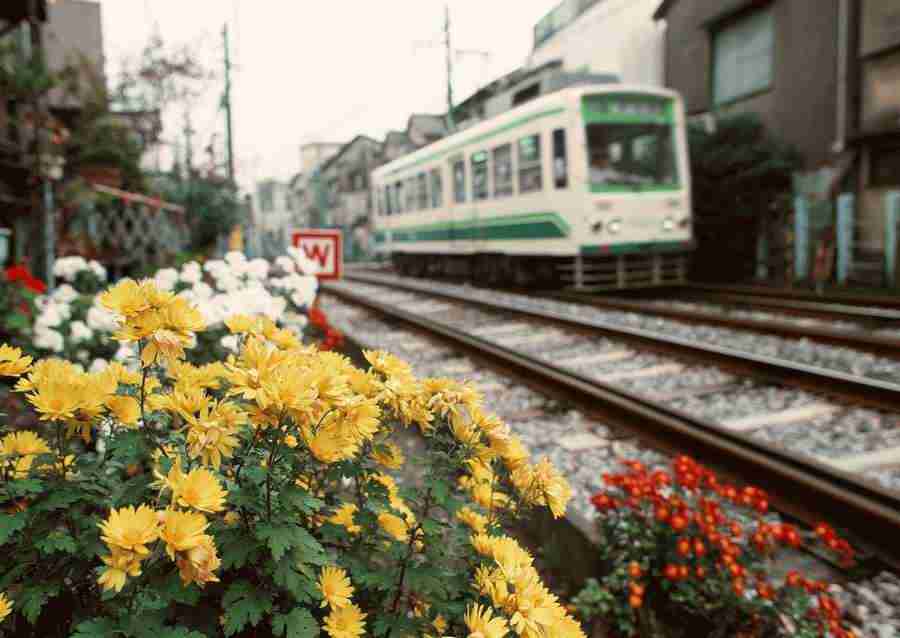 Tokyo - Datacraft Sozaijiten  ></a>
<script language=JavaScript> 
  var txt = 