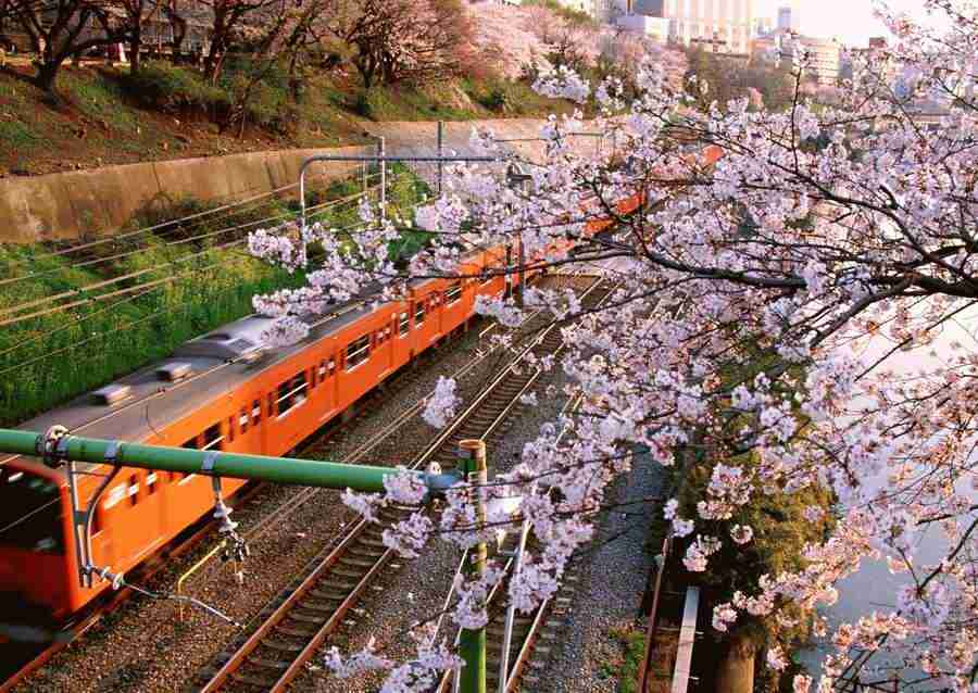 Tokyo - Datacraft Sozaijiten  ></a>
<script language=JavaScript> 
  var txt = 