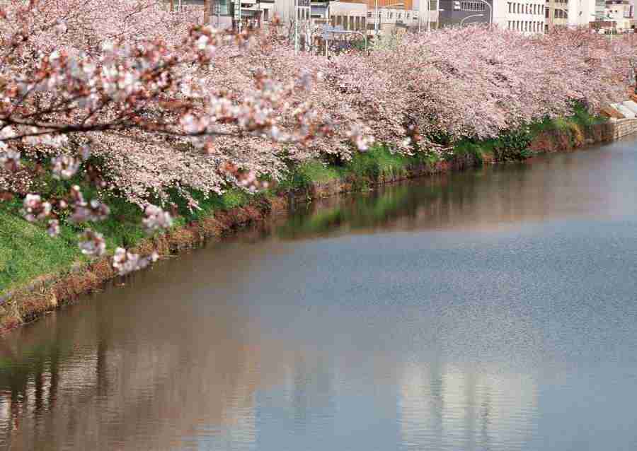 Tokyo - Datacraft Sozaijiten  ></a>
<script language=JavaScript> 
  var txt = 