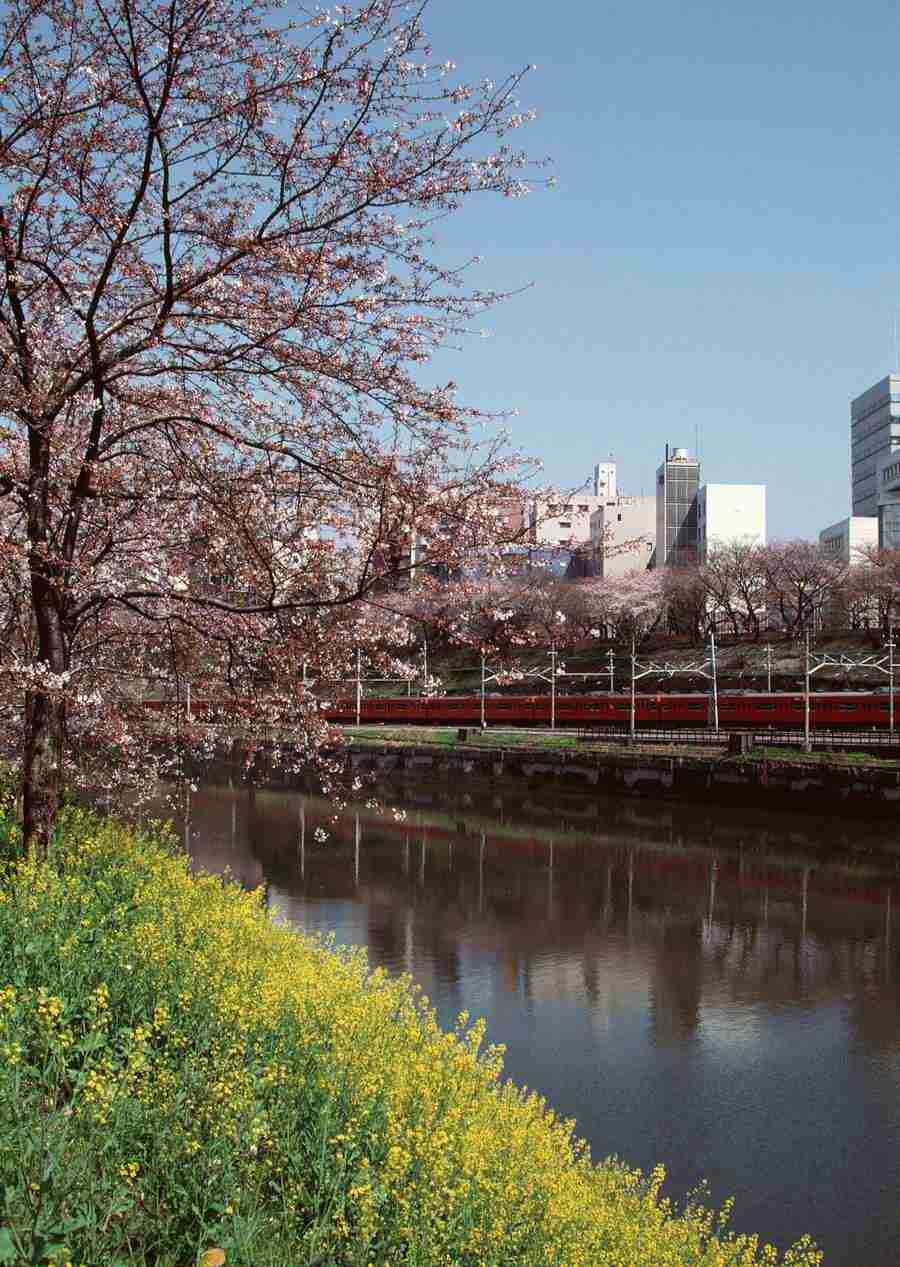 Tokyo - Datacraft Sozaijiten  ></a>
<script language=JavaScript> 
  var txt = 