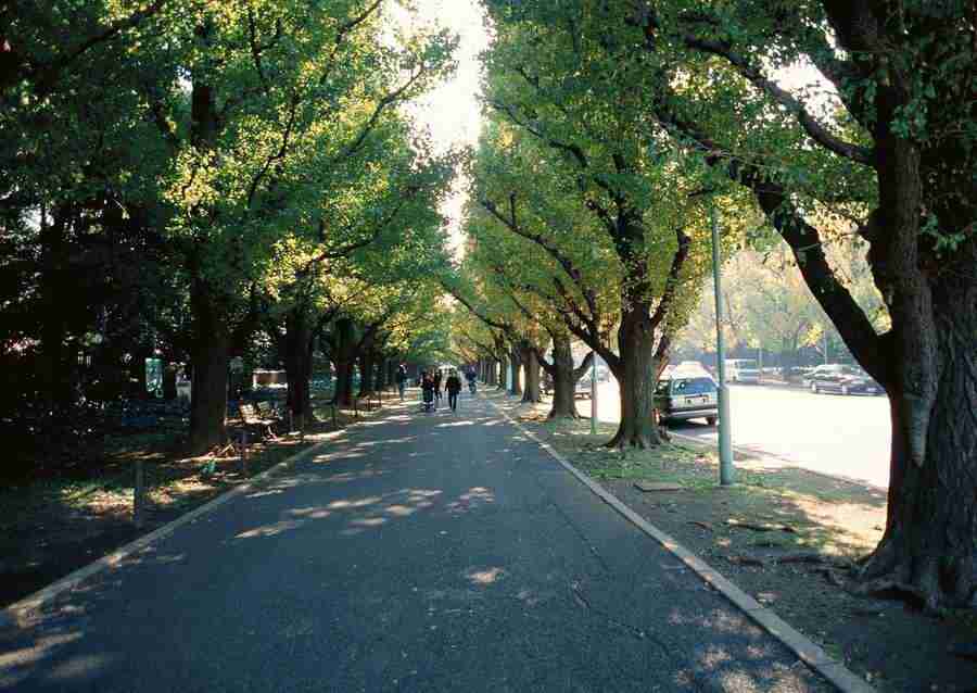 Tokyo - Datacraft Sozaijiten  ></a>
<script language=JavaScript> 
  var txt = 