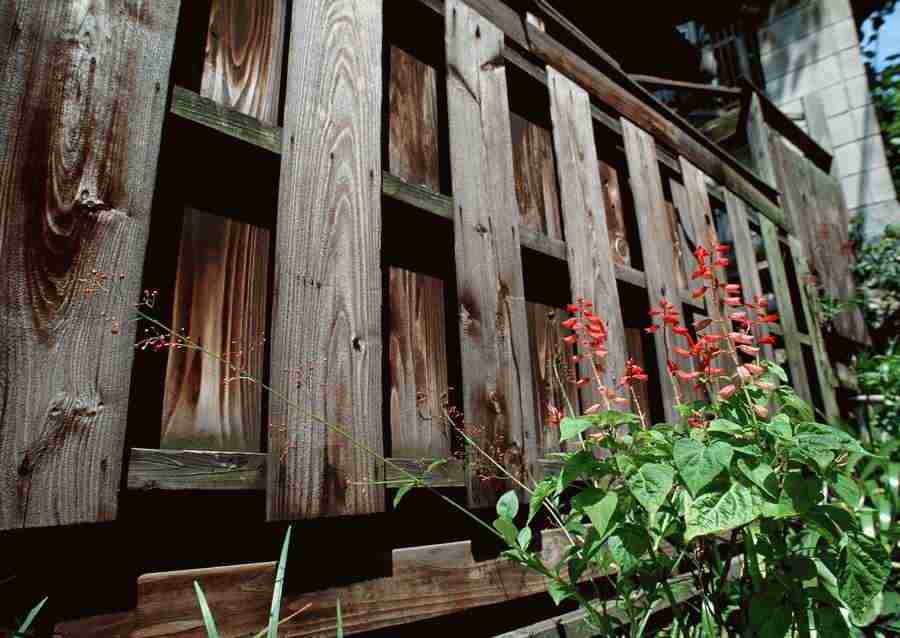 Tokyo - Datacraft Sozaijiten  ></a>
<script language=JavaScript> 
  var txt = 