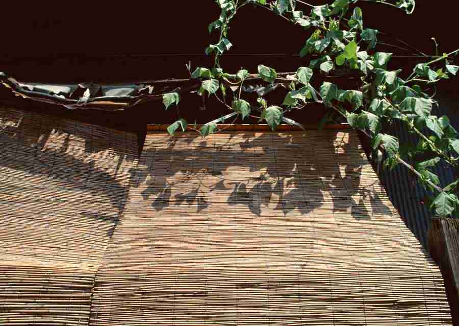 Tokyo - Datacraft Sozaijiten  ></a>
<script language=JavaScript> 
  var txt = 