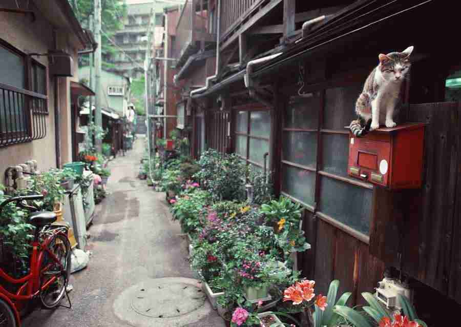 Tokyo - Datacraft Sozaijiten  ></a>
<script language=JavaScript> 
  var txt = 