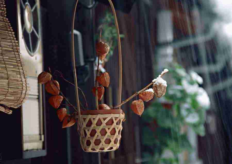 Tokyo - Datacraft Sozaijiten  ></a>
<script language=JavaScript> 
  var txt = 