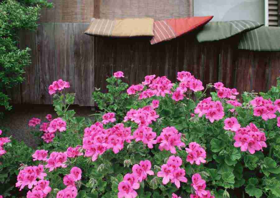 Tokyo - Datacraft Sozaijiten  ></a>
<script language=JavaScript> 
  var txt = 