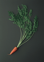 Datacraft Sozaijiten : Vegetables 