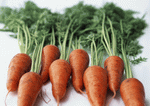 Datacraft Sozaijiten : Vegetables 