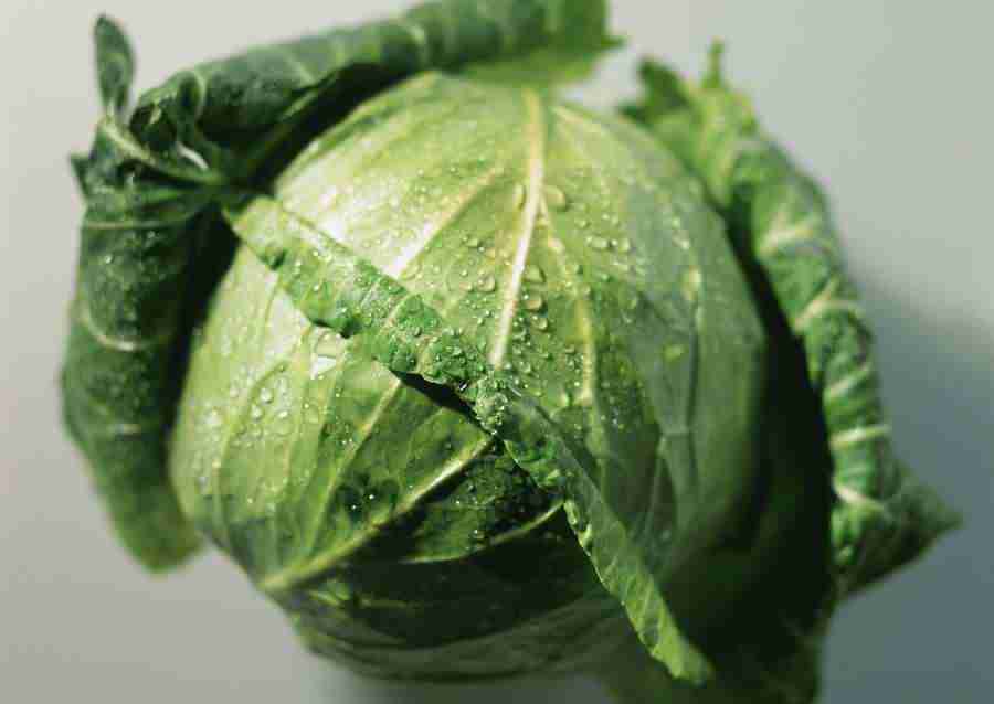 Vegetables - Datacraft Sozaijiten  ></a>
<script language=JavaScript> 
  var txt = 