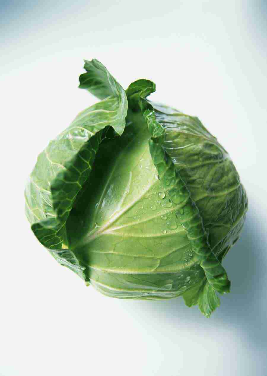 Vegetables - Datacraft Sozaijiten  ></a>
<script language=JavaScript> 
  var txt = 