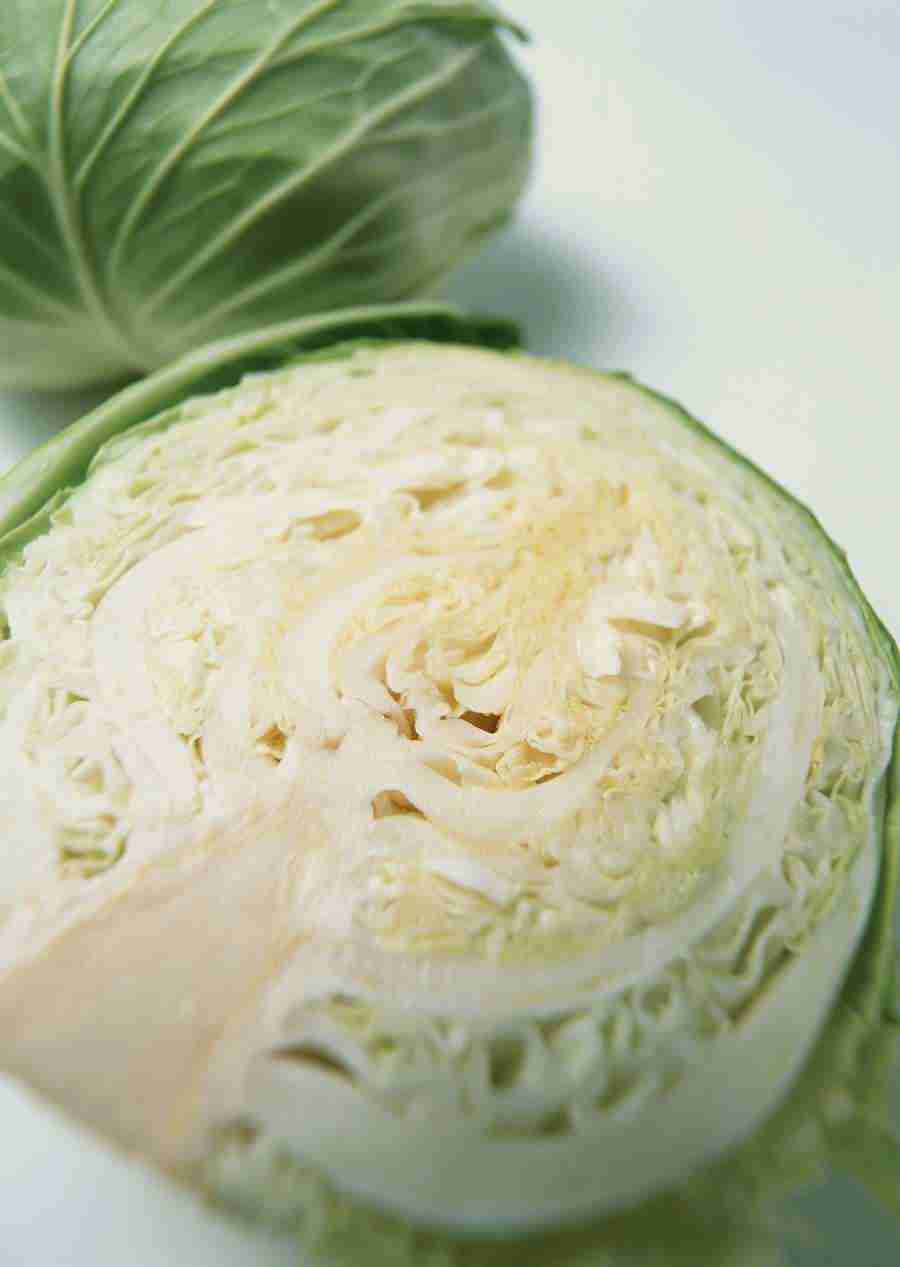 Vegetables - Datacraft Sozaijiten  ></a>
<script language=JavaScript> 
  var txt = 