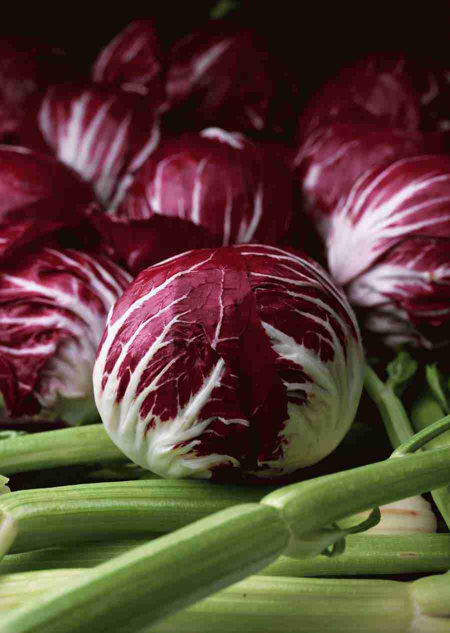 Vegetables - Datacraft Sozaijiten  ></a>
<script language=JavaScript> 
  var txt = 