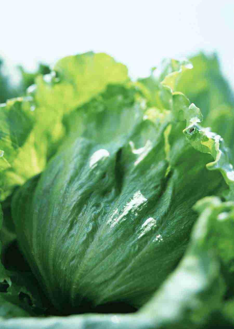 Vegetables - Datacraft Sozaijiten  ></a>
<script language=JavaScript> 
  var txt = 