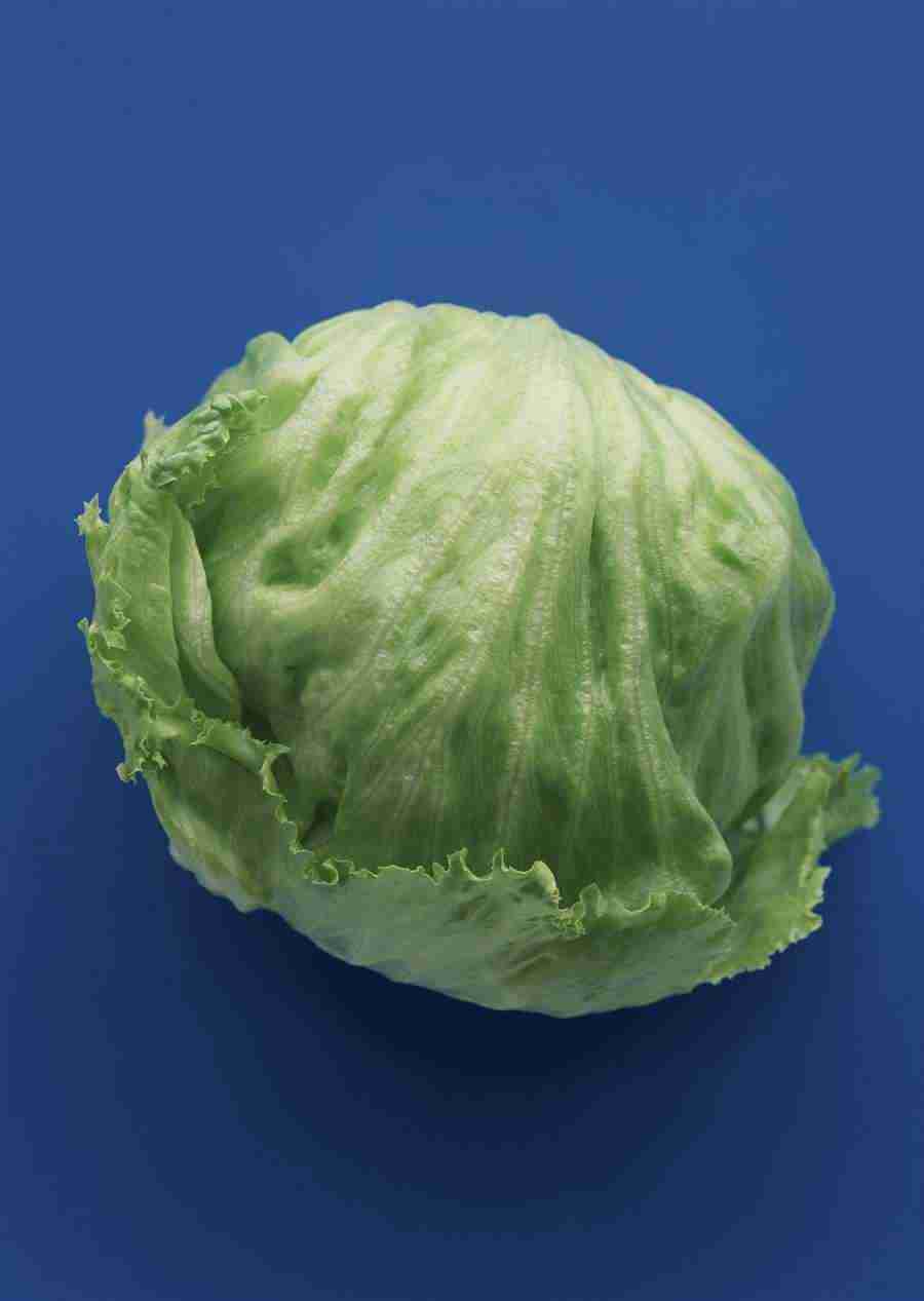 Vegetables - Datacraft Sozaijiten  ></a>
<script language=JavaScript> 
  var txt = 