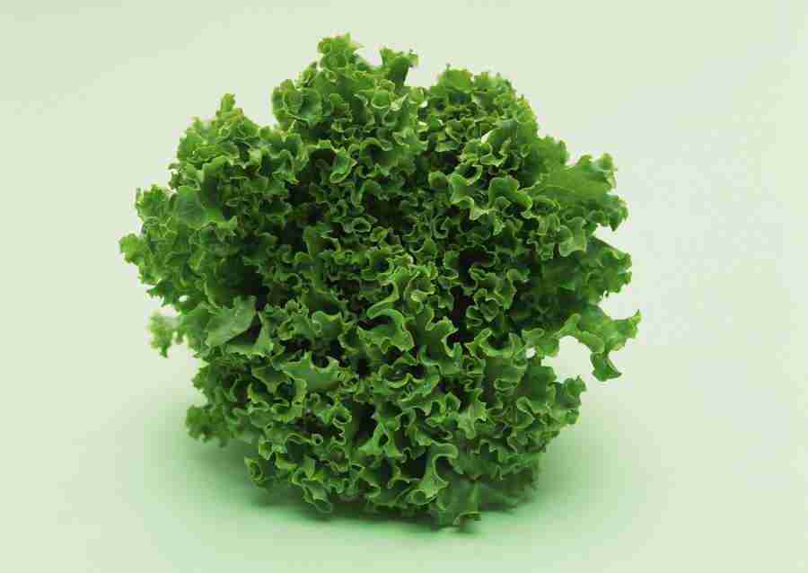 Vegetables - Datacraft Sozaijiten  ></a>
<script language=JavaScript> 
  var txt = 