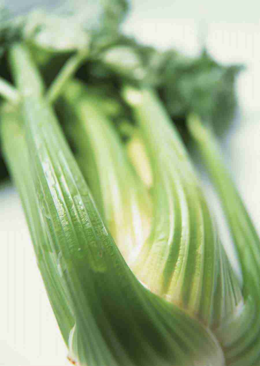 Vegetables - Datacraft Sozaijiten  ></a>
<script language=JavaScript> 
  var txt = 