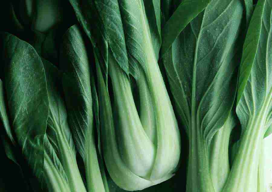 Vegetables - Datacraft Sozaijiten  ></a>
<script language=JavaScript> 
  var txt = 