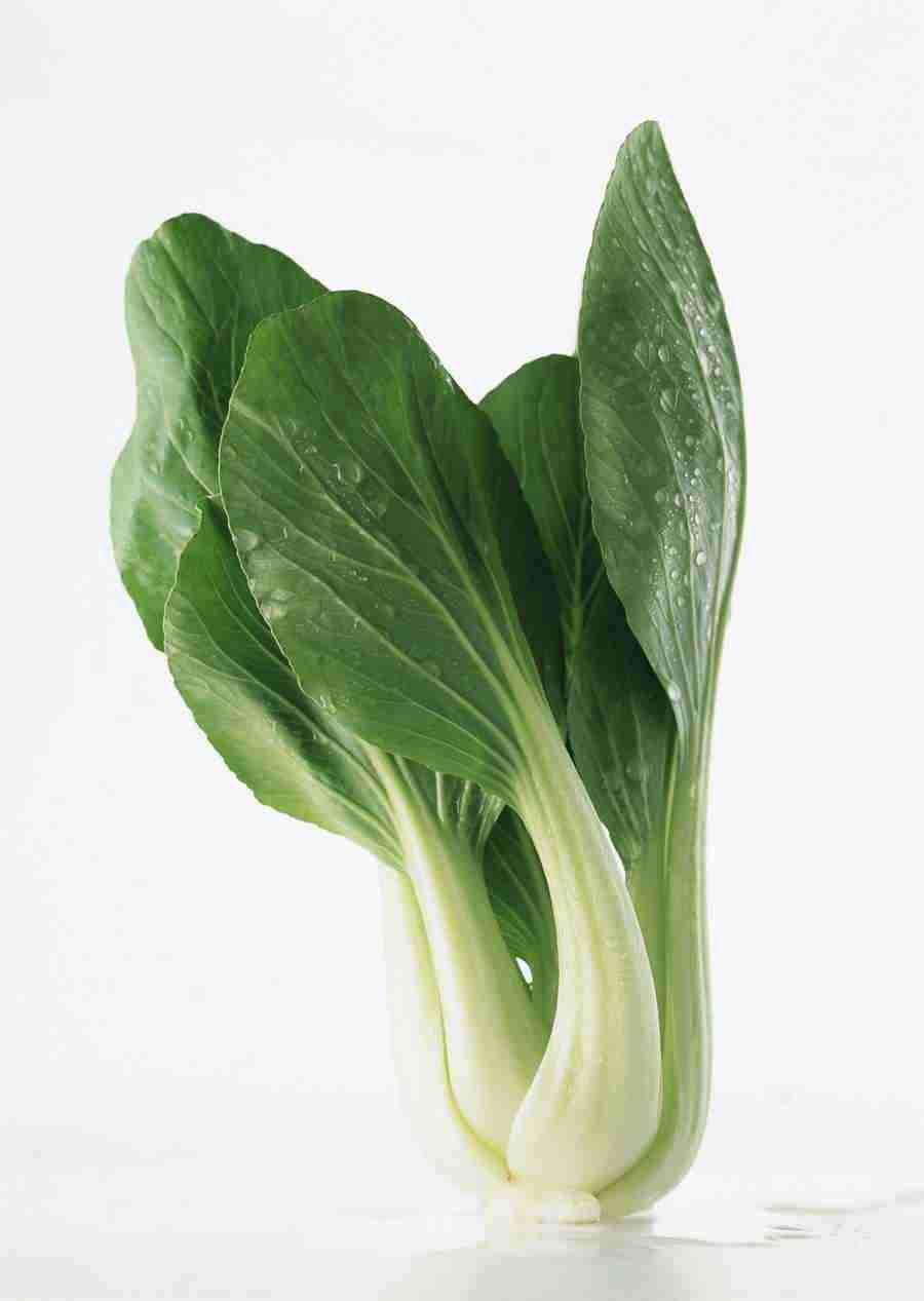 Vegetables - Datacraft Sozaijiten  ></a>
<script language=JavaScript> 
  var txt = 