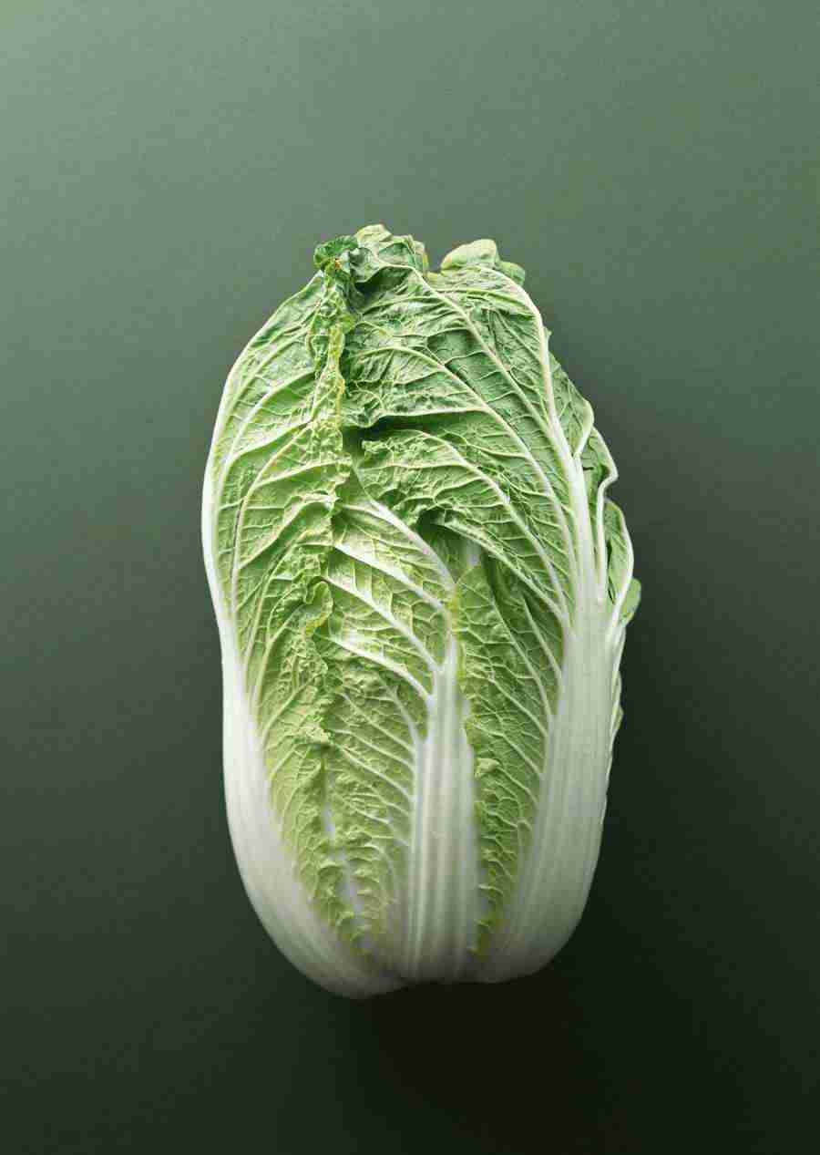 Vegetables - Datacraft Sozaijiten  ></a>
<script language=JavaScript> 
  var txt = 