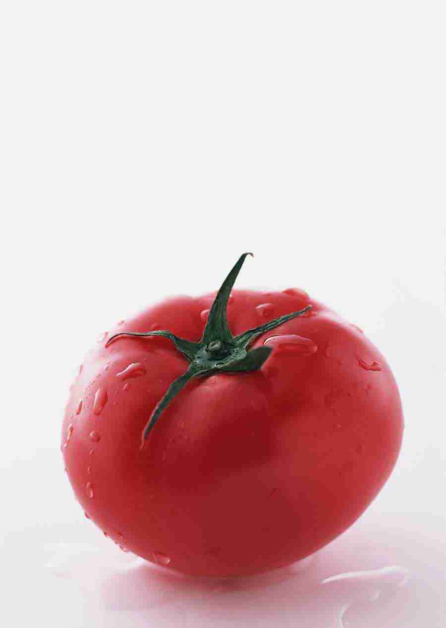 Vegetables - Datacraft Sozaijiten  ></a>
<script language=JavaScript> 
  var txt = 