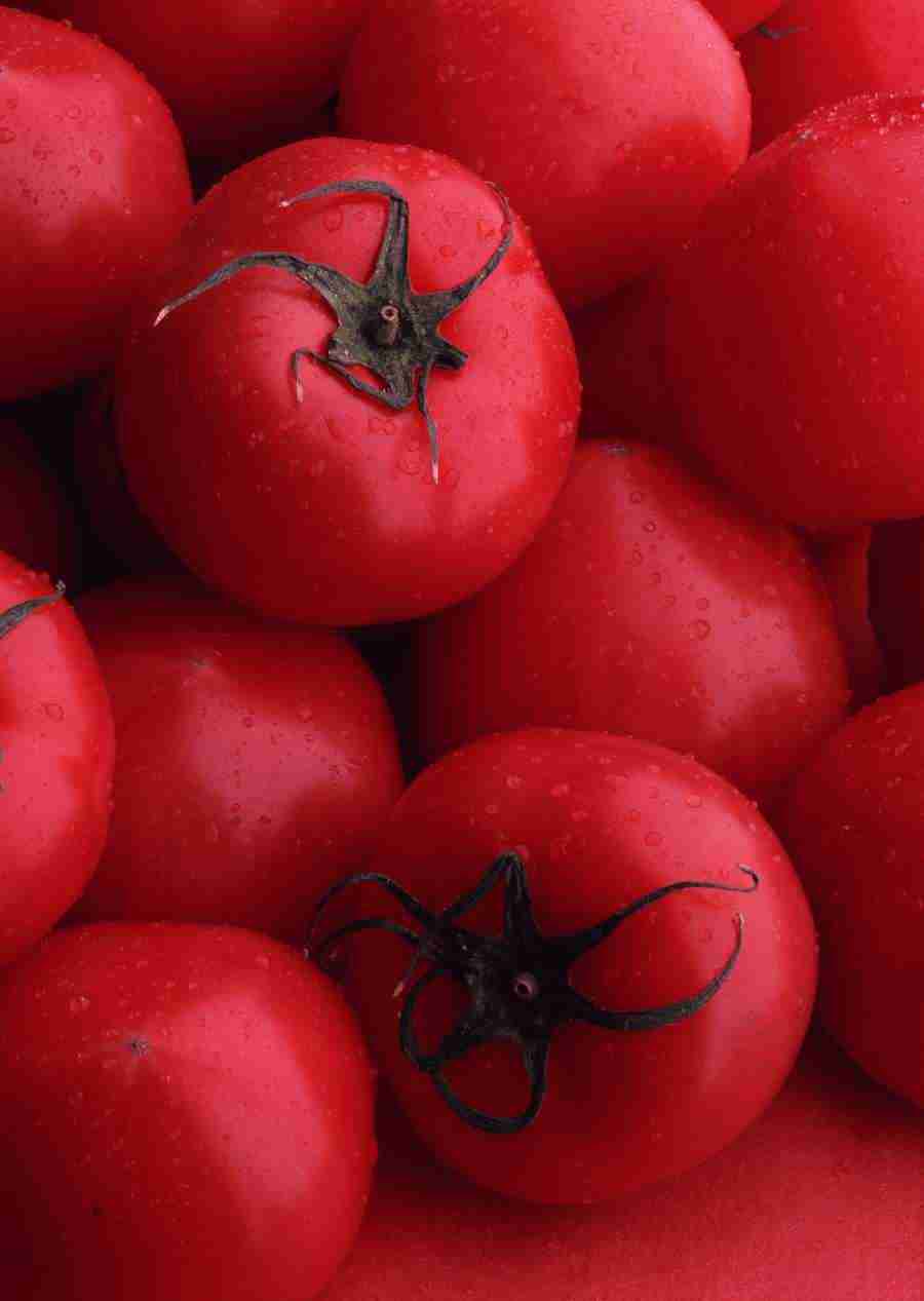 Vegetables - Datacraft Sozaijiten  ></a>
<script language=JavaScript> 
  var txt = 