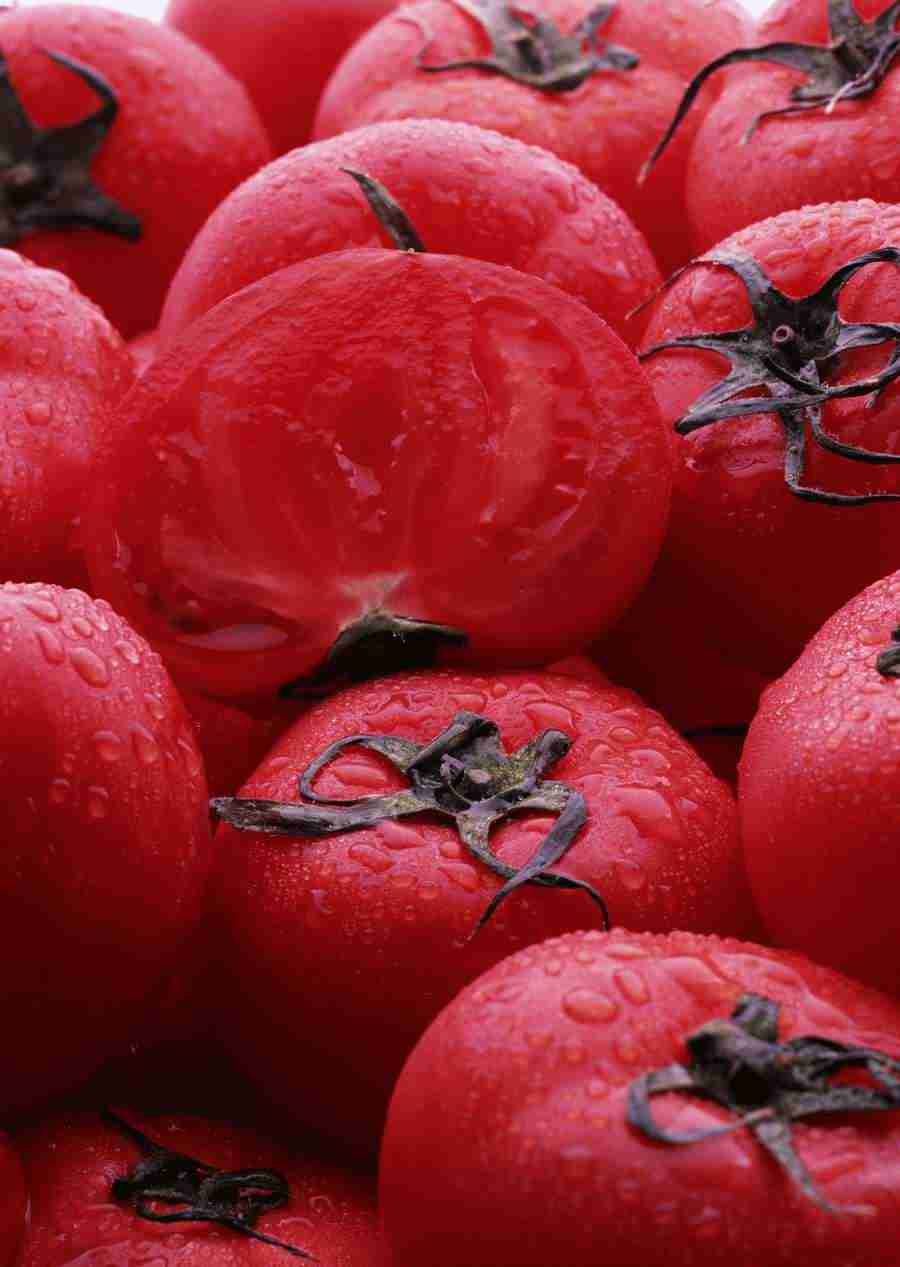 Vegetables - Datacraft Sozaijiten  ></a>
<script language=JavaScript> 
  var txt = 