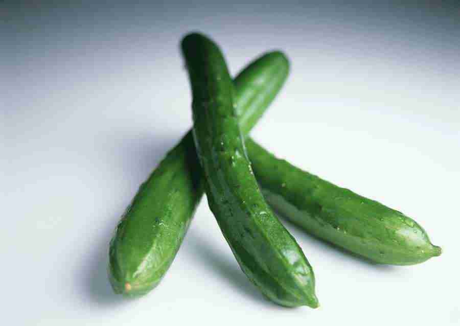 Vegetables - Datacraft Sozaijiten  ></a>
<script language=JavaScript> 
  var txt = 