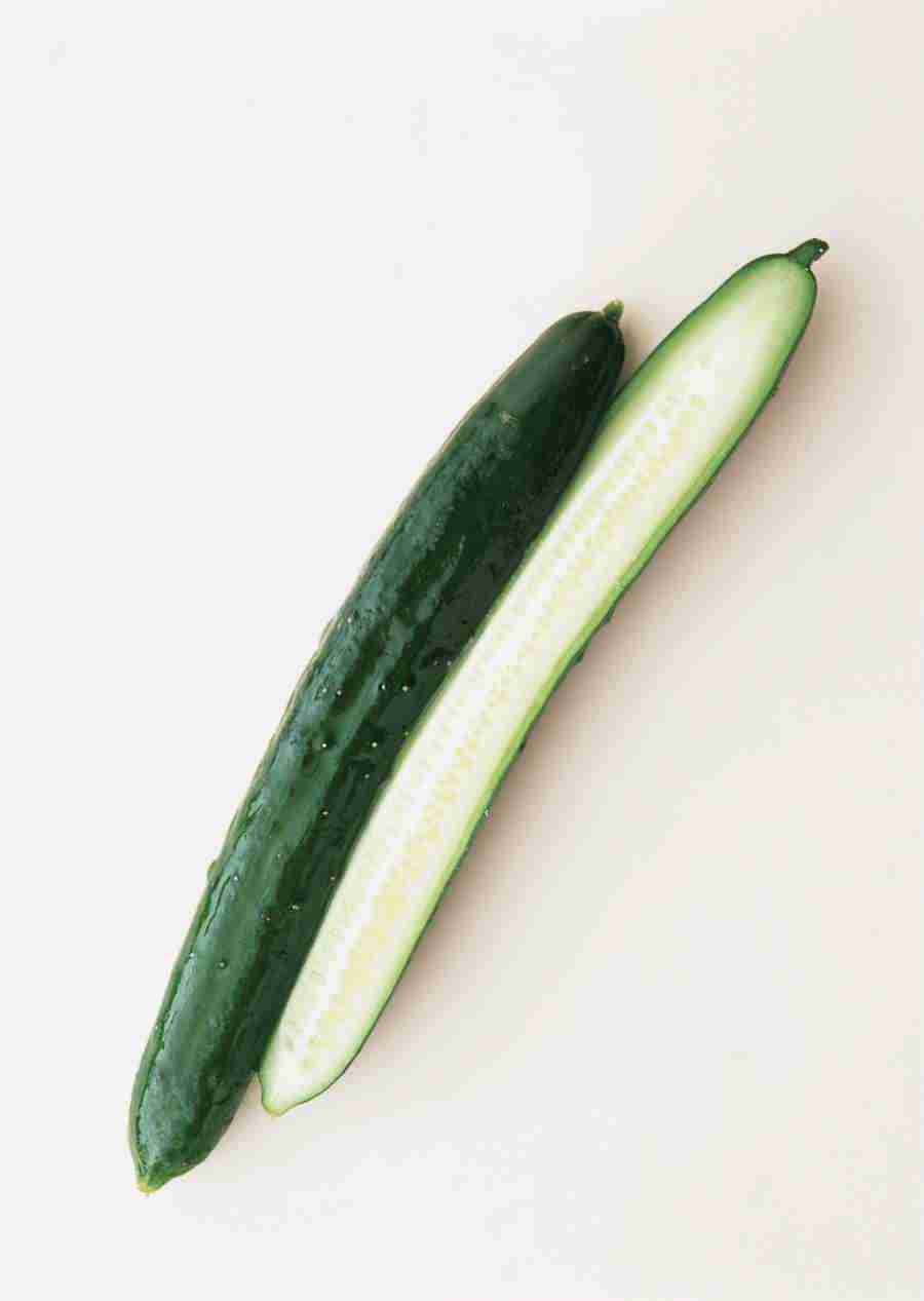 Vegetables - Datacraft Sozaijiten  ></a>
<script language=JavaScript> 
  var txt = 