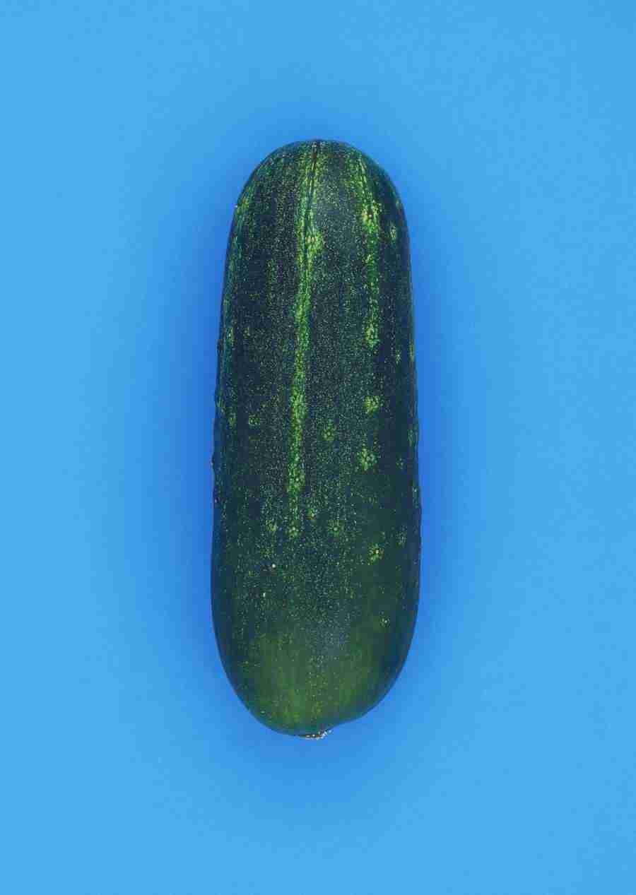 Vegetables - Datacraft Sozaijiten  ></a>
<script language=JavaScript> 
  var txt = 