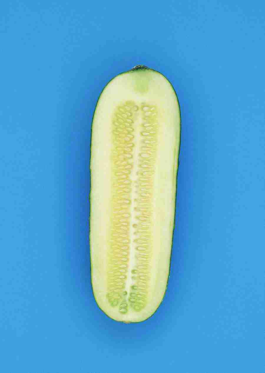 Vegetables - Datacraft Sozaijiten  ></a>
<script language=JavaScript> 
  var txt = 