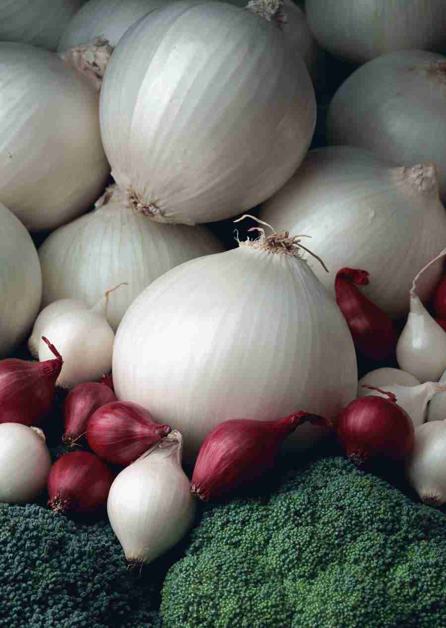 Vegetables - Datacraft Sozaijiten  ></a>
<script language=JavaScript> 
  var txt = 