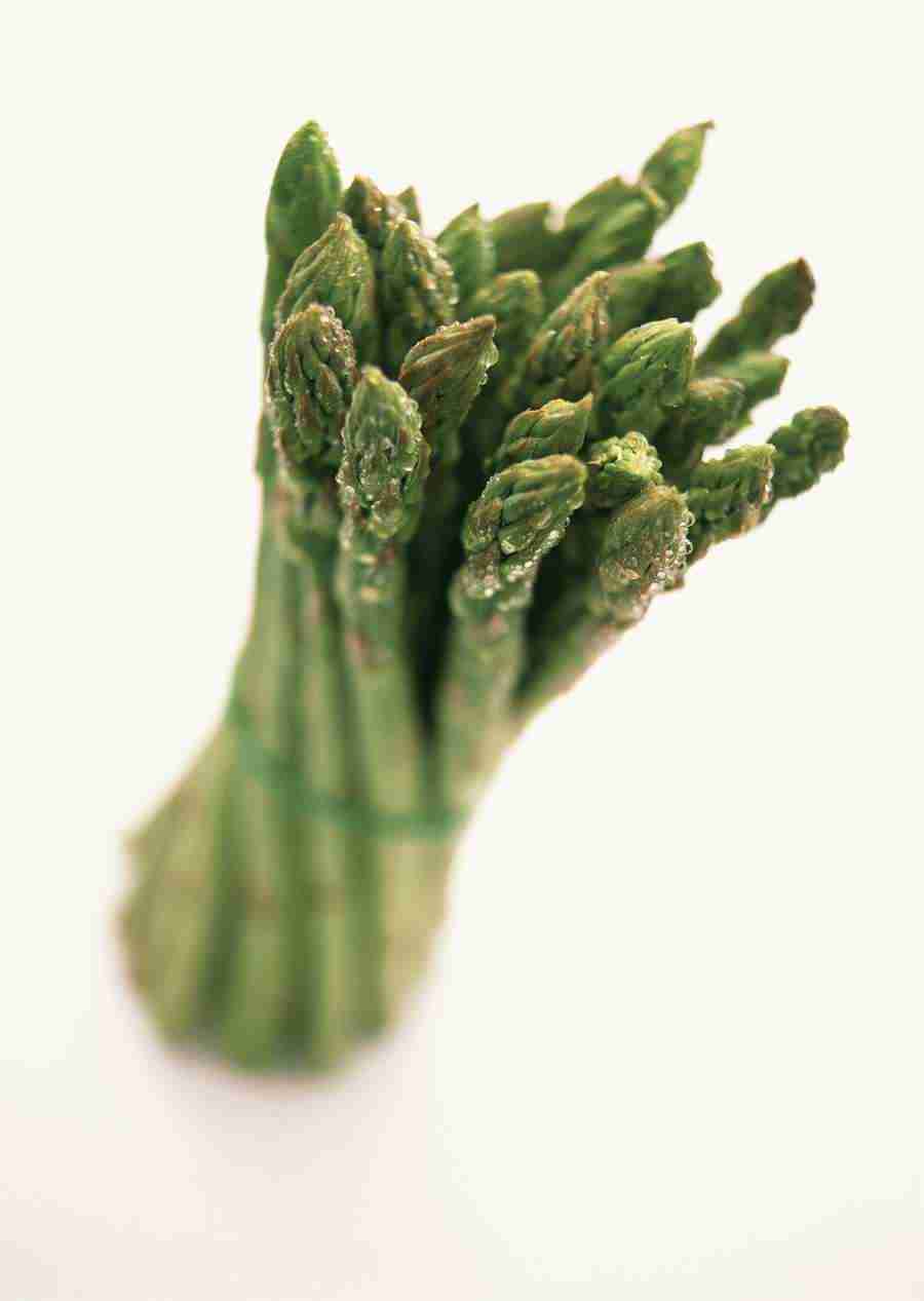 Vegetables - Datacraft Sozaijiten  ></a>
<script language=JavaScript> 
  var txt = 