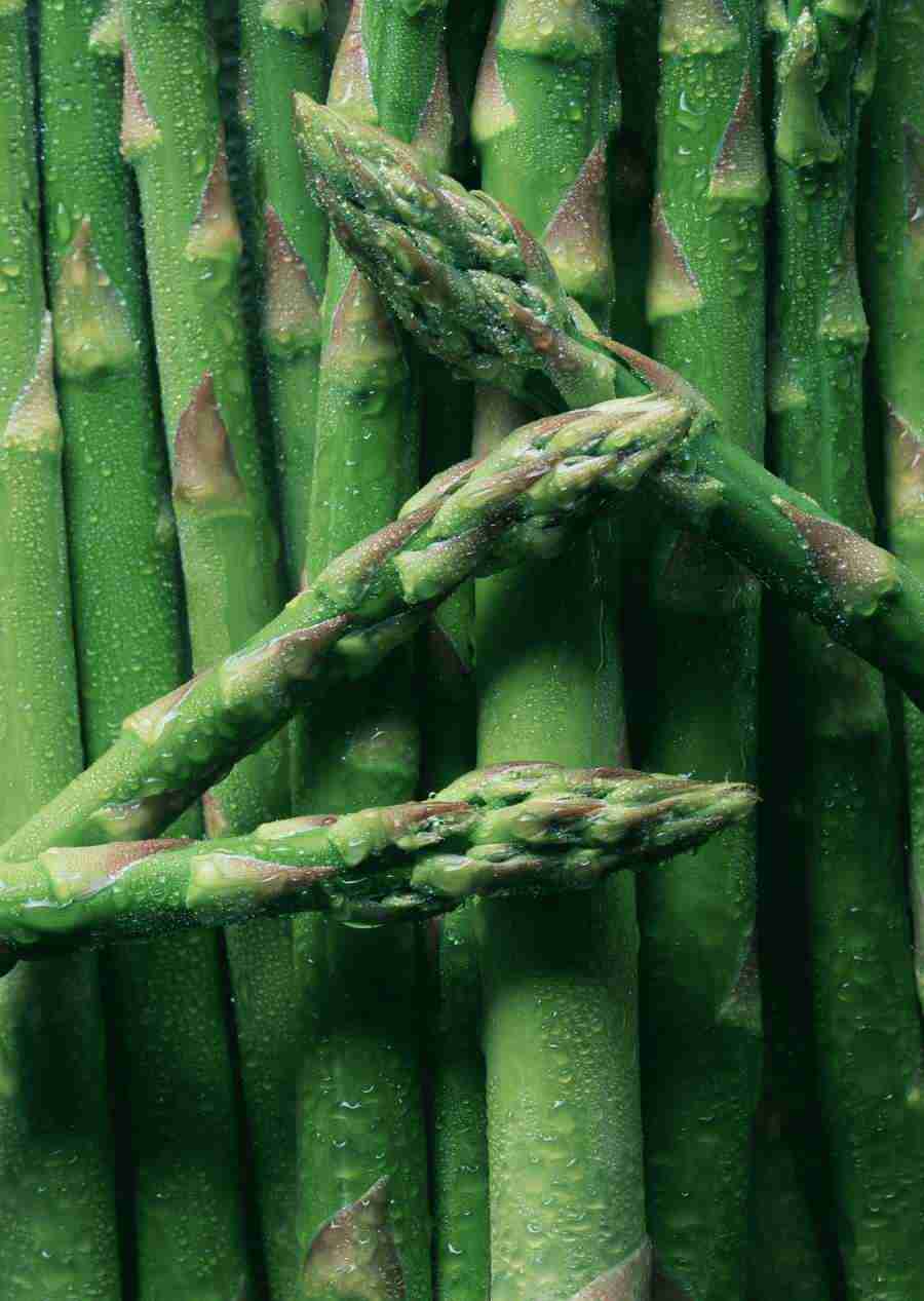 Vegetables - Datacraft Sozaijiten  ></a>
<script language=JavaScript> 
  var txt = 