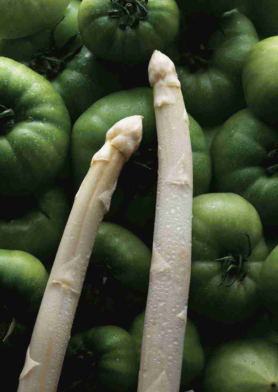 Vegetables - Datacraft Sozaijiten  ></a>
<script language=JavaScript> 
  var txt = 