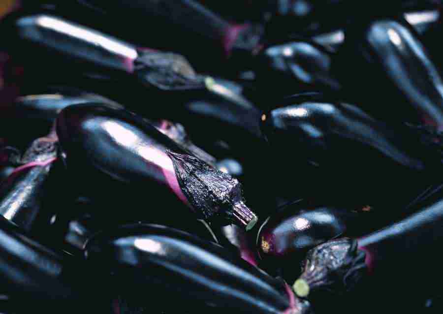 Vegetables - Datacraft Sozaijiten  ></a>
<script language=JavaScript> 
  var txt = 