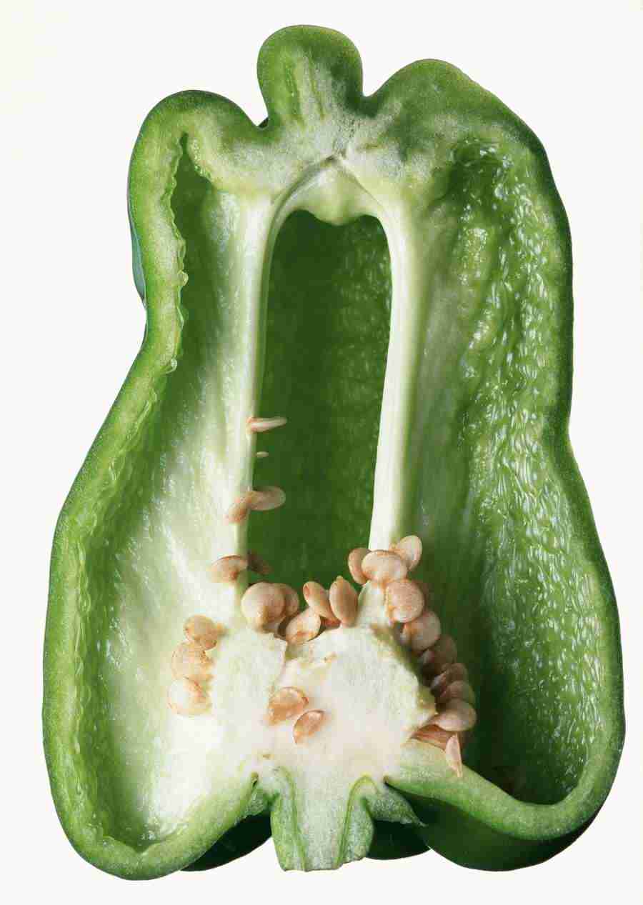 Vegetables - Datacraft Sozaijiten  ></a>
<script language=JavaScript> 
  var txt = 